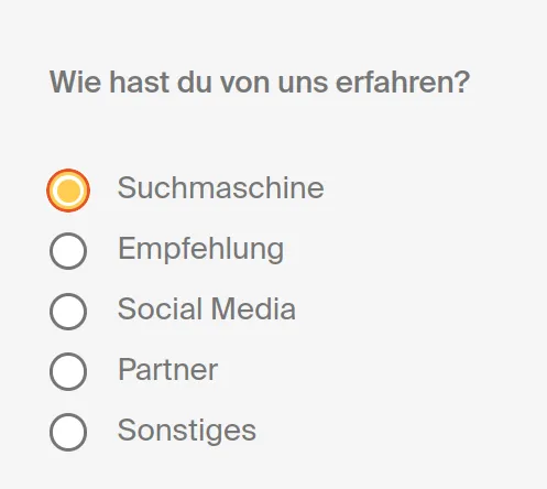 Gleiche Radio-Button-Liste. Social Media ist ausgewählt und zusätzlich mit einem deutlich sichtbaren orange Fokus-Ring umrandet, der die Position des Tastatur-Fokus anzeigt.